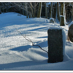 mrazivé osvěžení