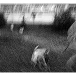 Na prechádzke na trolejbus