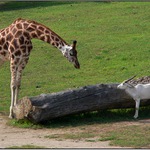 Říkals něco, prcku?