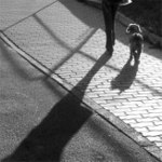 Večerní světlo II