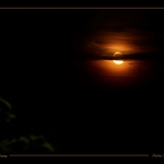 dark moon