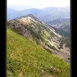 ... cestou na Chopok