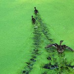 ga!!ga!!!gagagagagaga!!!!!!!!!!!!!