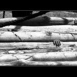 Polibte si.... nevylezu...