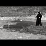 Co přináší řeka...