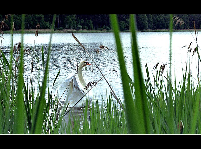 Taaak se protahnu... a poletím!