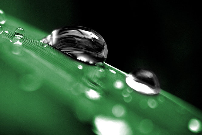 h2o