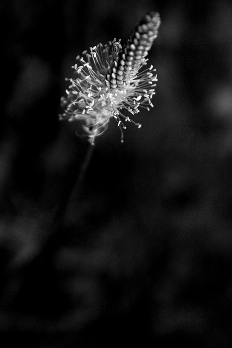 ...alone in dark...
