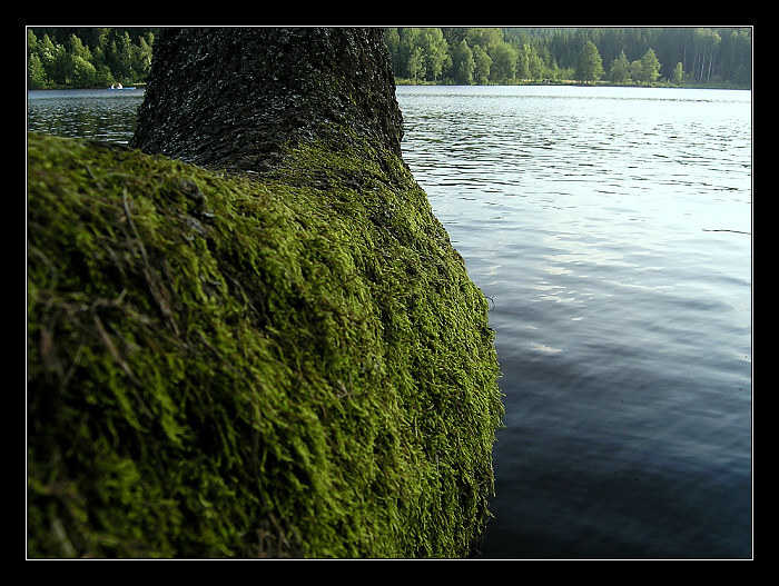  	Letní putování III