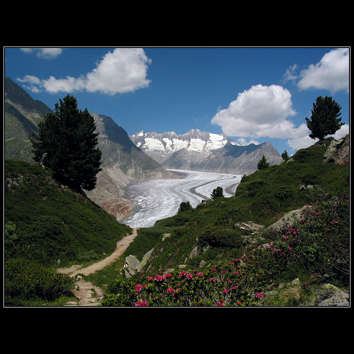 Aletsch 4
