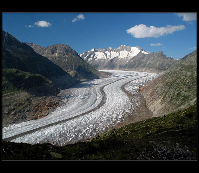 Aletsch 5