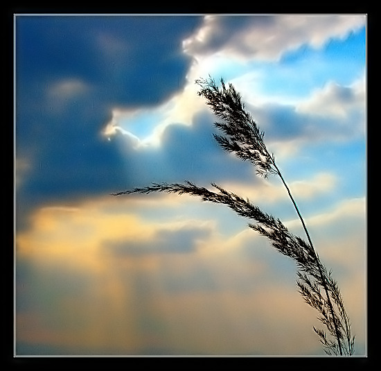 <font color=B96F00><b>*****NaTurE*****</a></span><br>