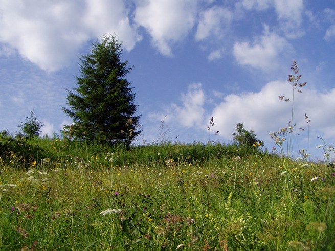 Malá Fatra