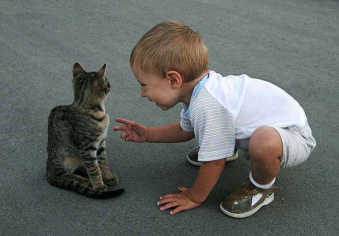 " Ty jsi pěkná kočička"