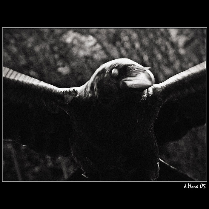 ...in the autumn of one's life...