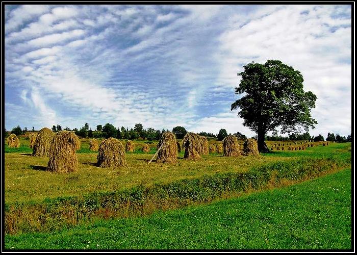 krajina môjho detstva II.