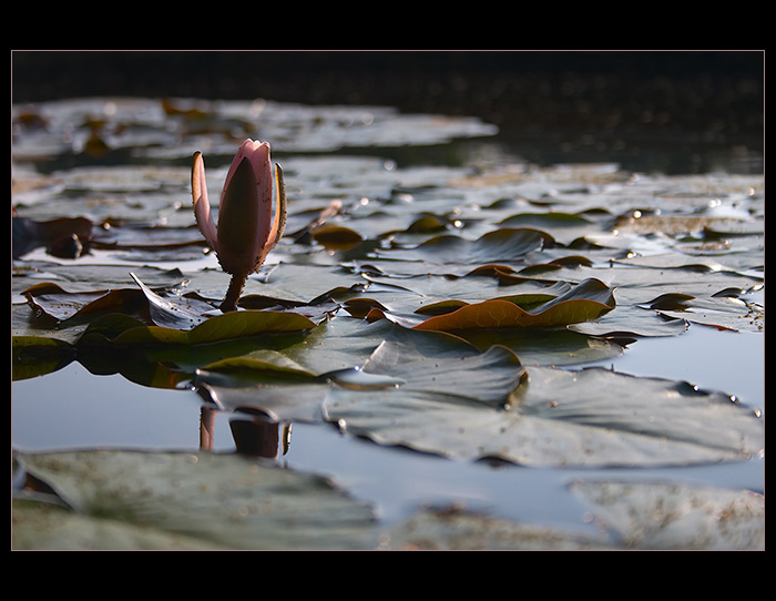 Čekání na další den