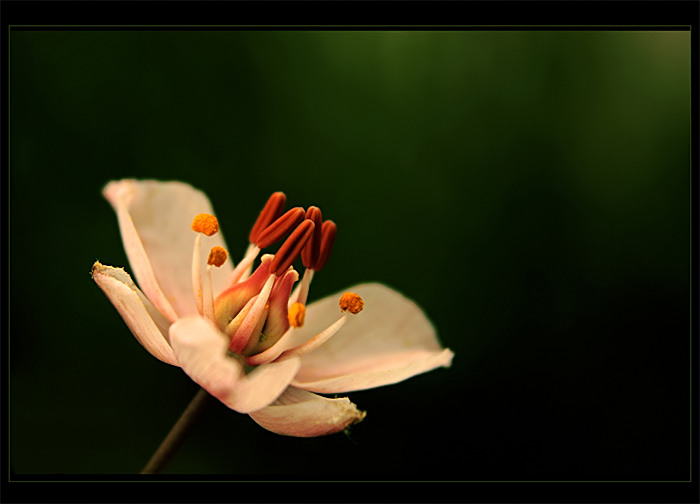LIGHT 2