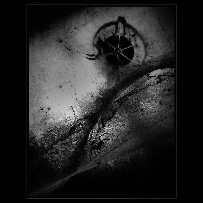 \"Arachnofoby\"
