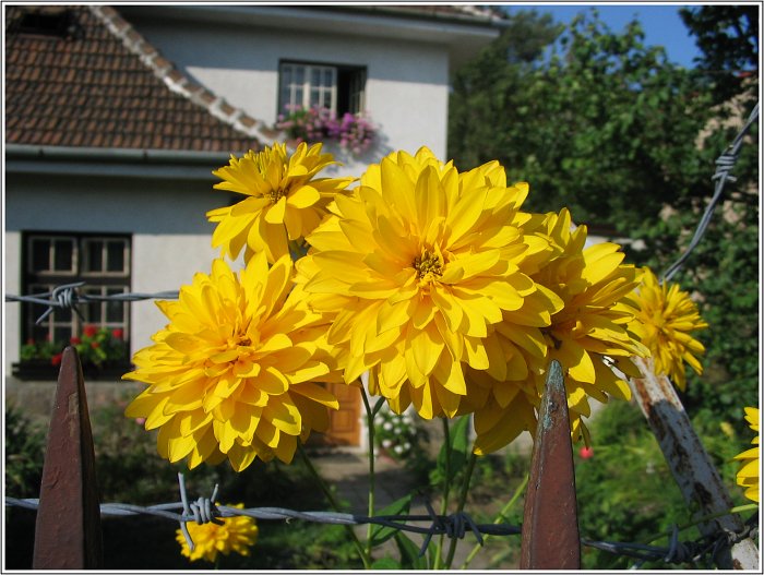 Příroda ve vězení.....