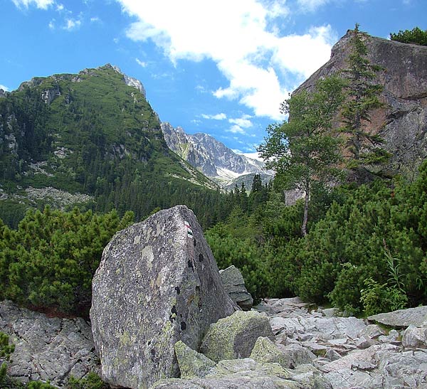 Tatrovka