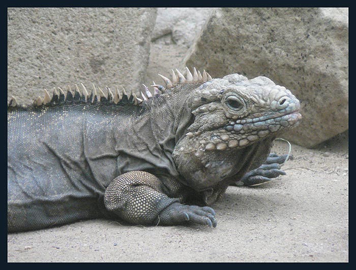 Byl jednou jeden drak a ten měl pořád hlad...