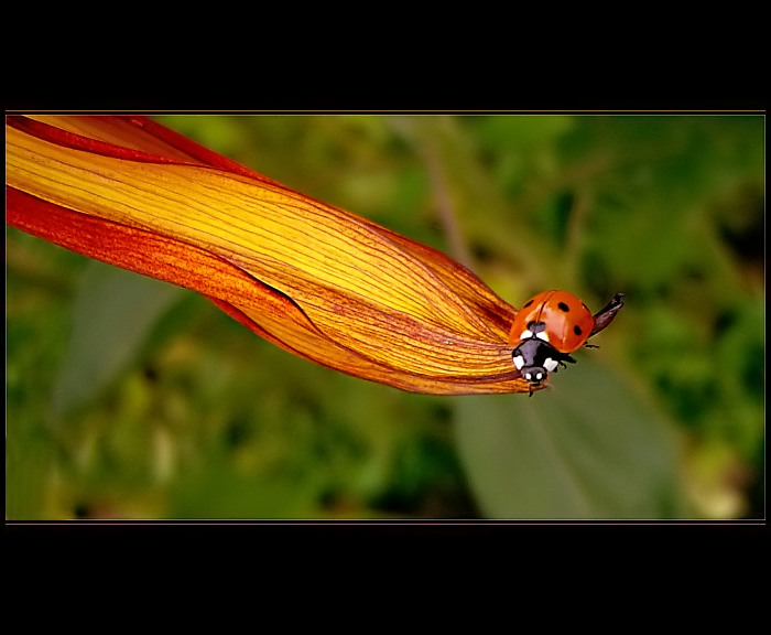 <b>.:Prosím! Sundejte mě!:.</b>