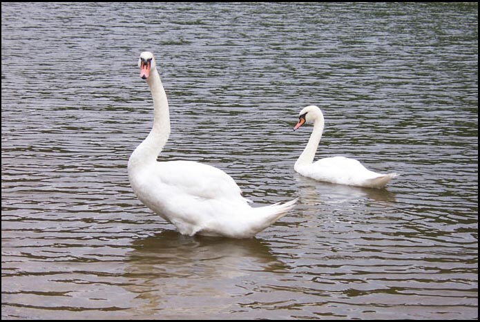 Ladná ale zvědavá