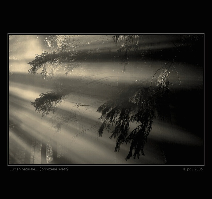 Lumen naturale (přirozené světlo)