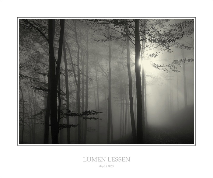 LUMEN LESSEN