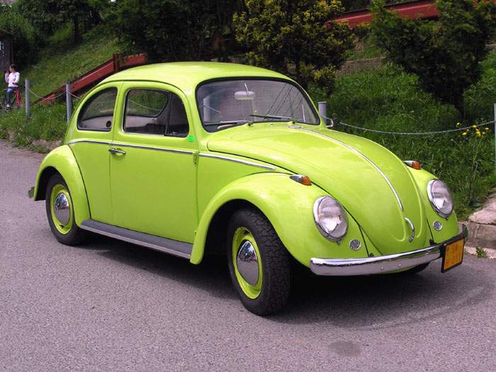 VW brouk