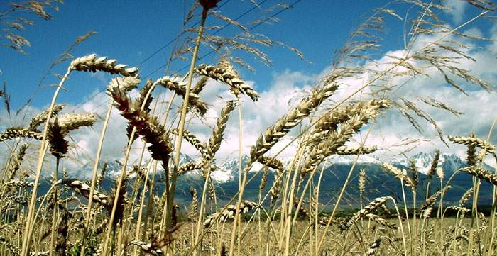 Tatry III
