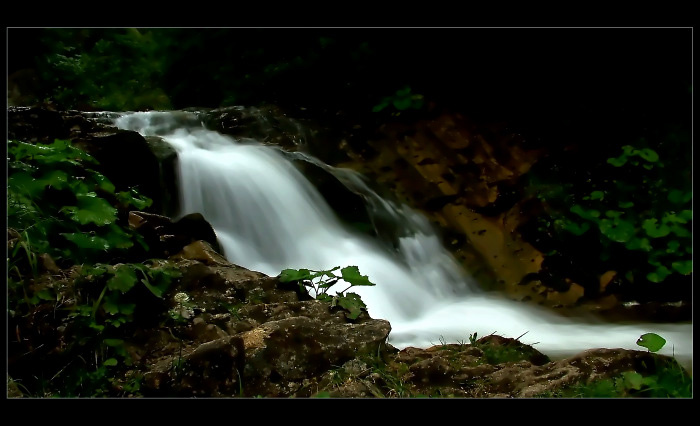 <b>VODIČKA...</b> <hr> <b>