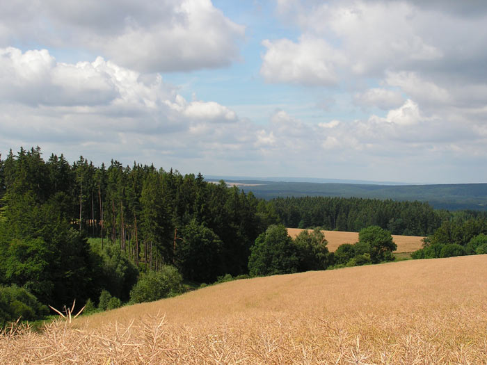 Anenská studánka