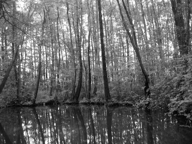 Pramen neznámé říčky...