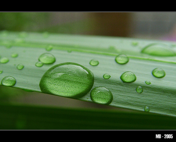 Jedna malá kapička I.