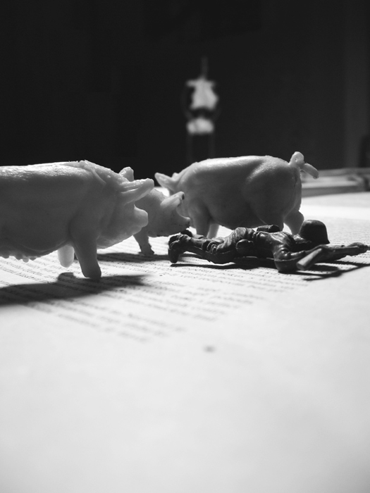 boj