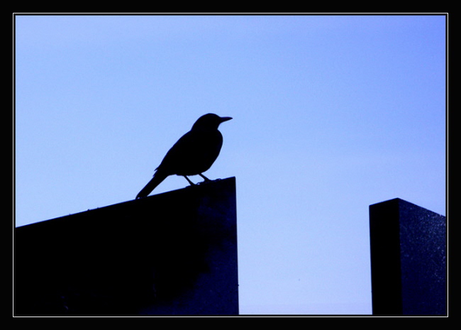 Odpočinok na náhrobnom kameni