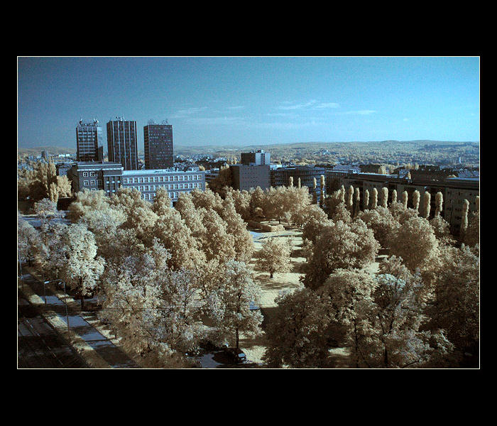 Brno