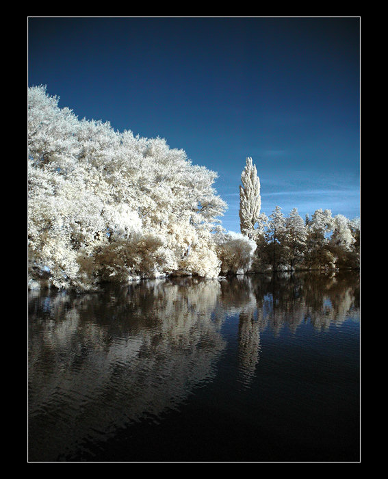 Black River, Blue Sky