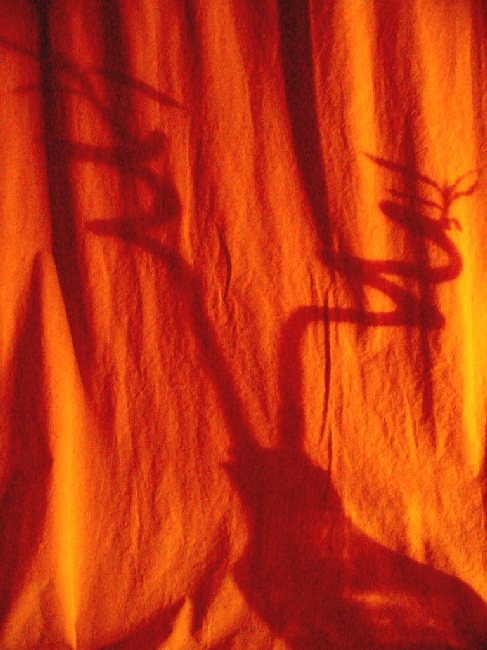 Parohy ve skleničce