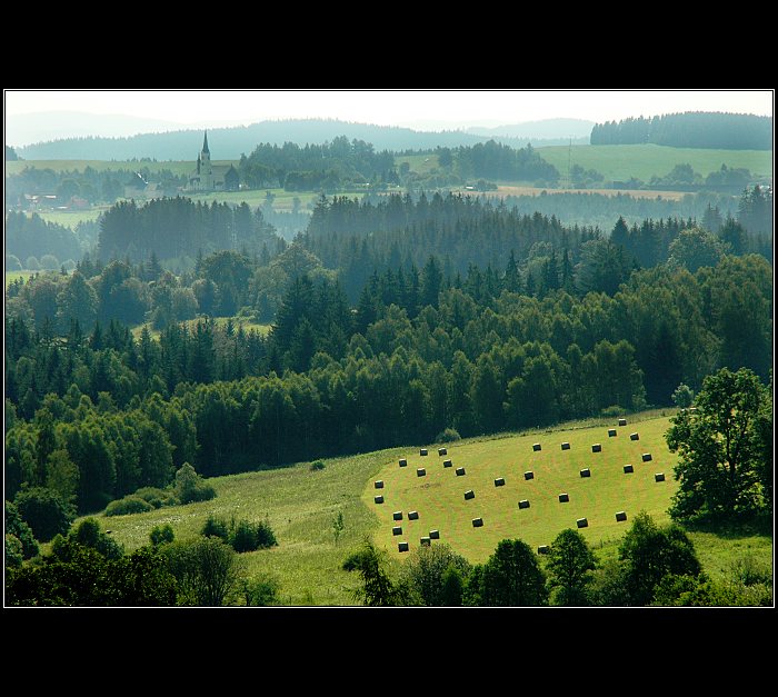 šachovnice