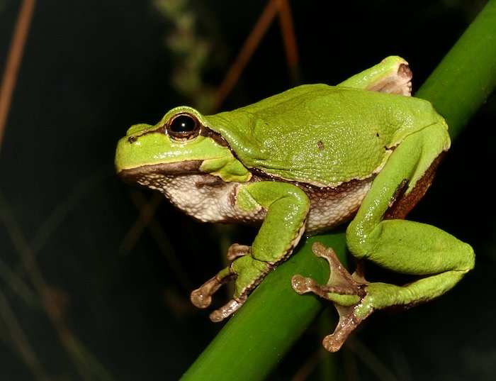 Dělej než mi to ujede