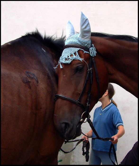 Já Tï to pošeptám....