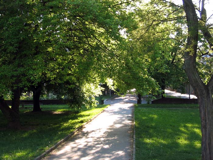 Parčík