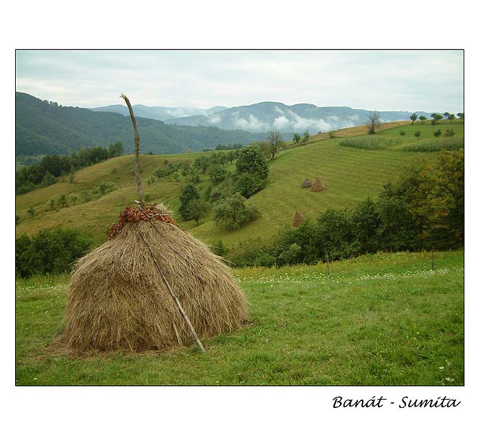 Banát