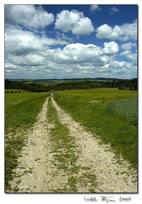 Z Vysočiny