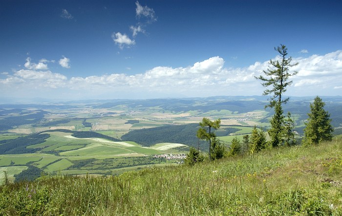 Spiš