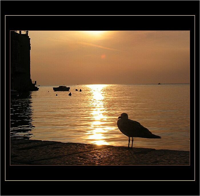 <b><font color=#fbd77f>**vzpomínka na moře***</font></b><br>