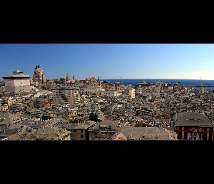 <b>a daily view</b>